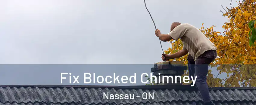  Fix Blocked Chimney Nassau - ON