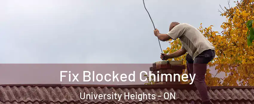 Fix Blocked Chimney University Heights - ON