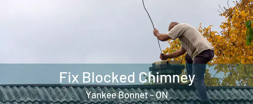  Fix Blocked Chimney Yankee Bonnet - ON