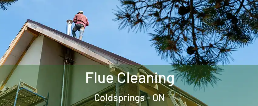  Flue Cleaning Coldsprings - ON