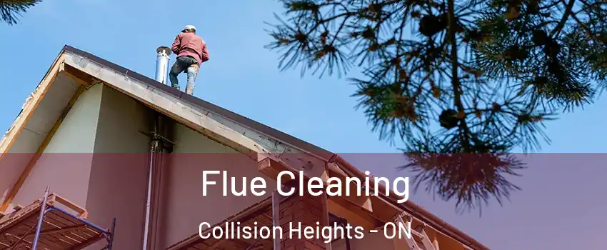  Flue Cleaning Collision Heights - ON