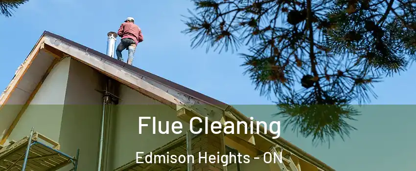 Flue Cleaning Edmison Heights - ON