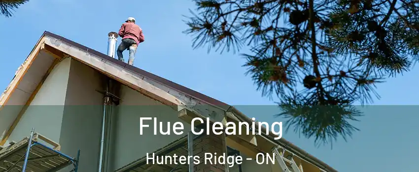  Flue Cleaning Hunters Ridge - ON