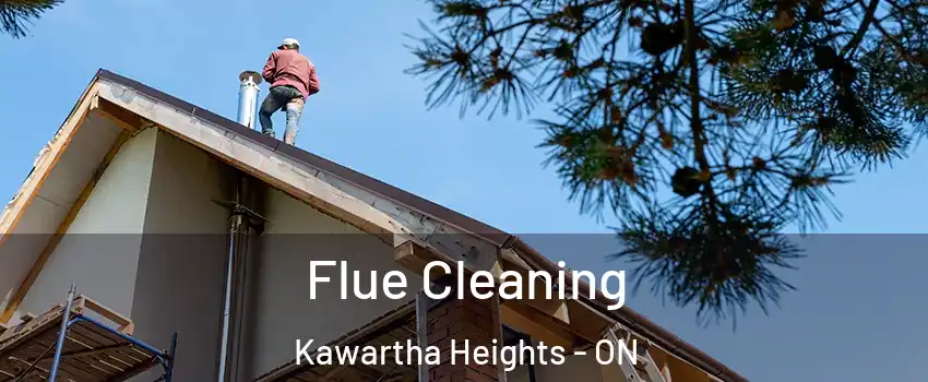  Flue Cleaning Kawartha Heights - ON