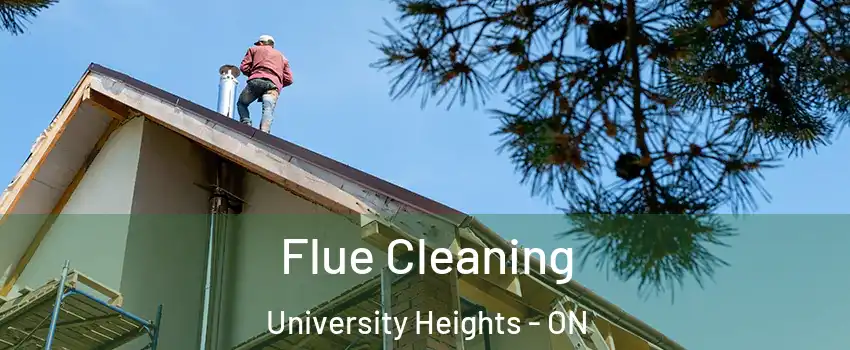 Flue Cleaning University Heights - ON