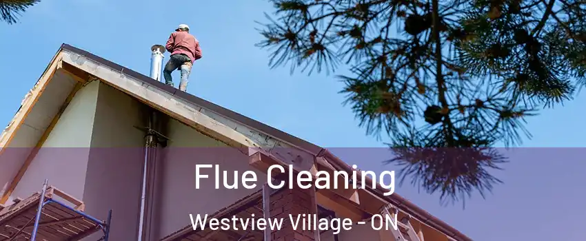 Flue Cleaning Westview Village - ON