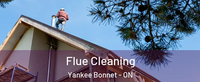 Flue Cleaning Yankee Bonnet - ON