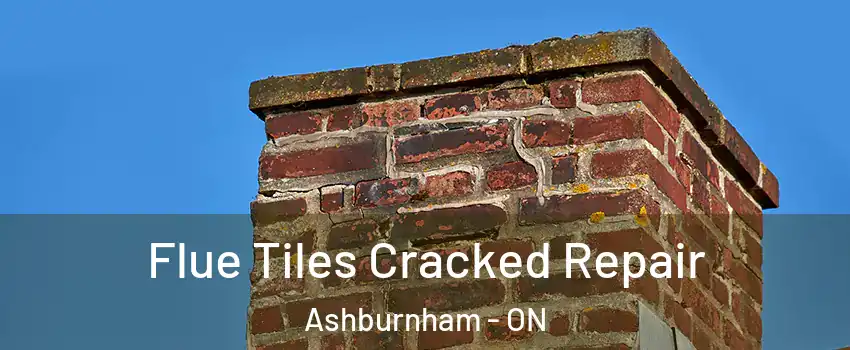  Flue Tiles Cracked Repair Ashburnham - ON