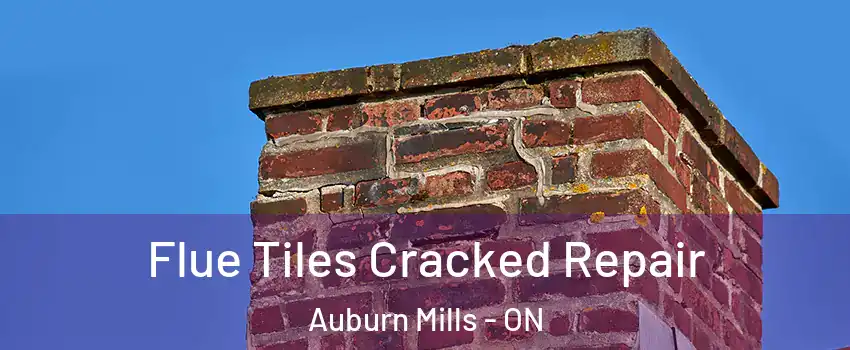  Flue Tiles Cracked Repair Auburn Mills - ON