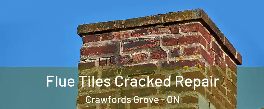 Flue Tiles Cracked Repair Crawfords Grove - ON