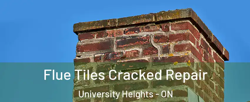Flue Tiles Cracked Repair University Heights - ON