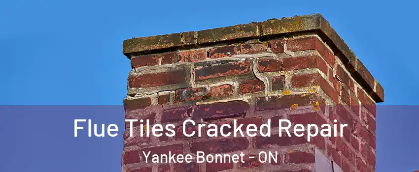  Flue Tiles Cracked Repair Yankee Bonnet - ON
