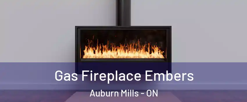  Gas Fireplace Embers Auburn Mills - ON
