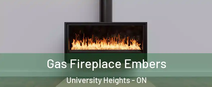  Gas Fireplace Embers University Heights - ON