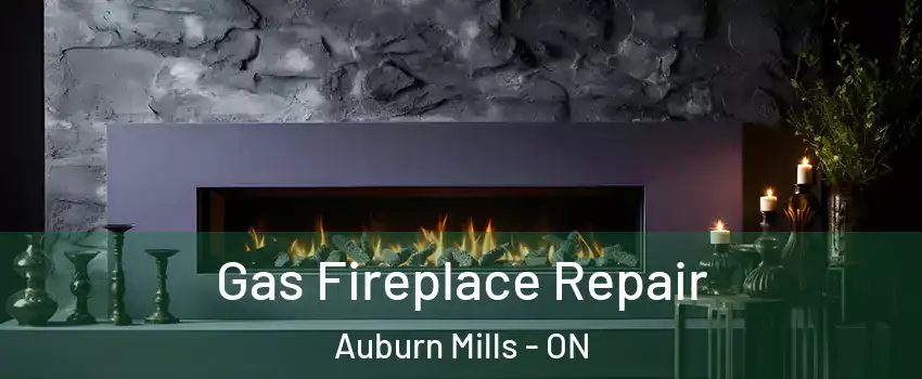  Gas Fireplace Repair Auburn Mills - ON