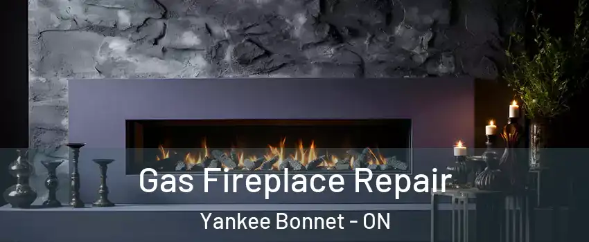  Gas Fireplace Repair Yankee Bonnet - ON