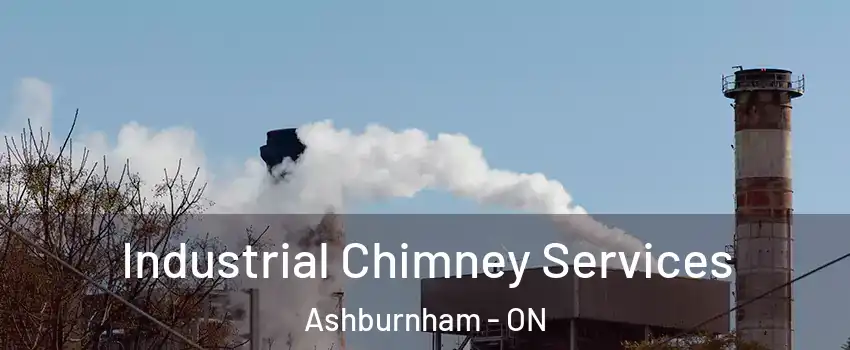  Industrial Chimney Services Ashburnham - ON