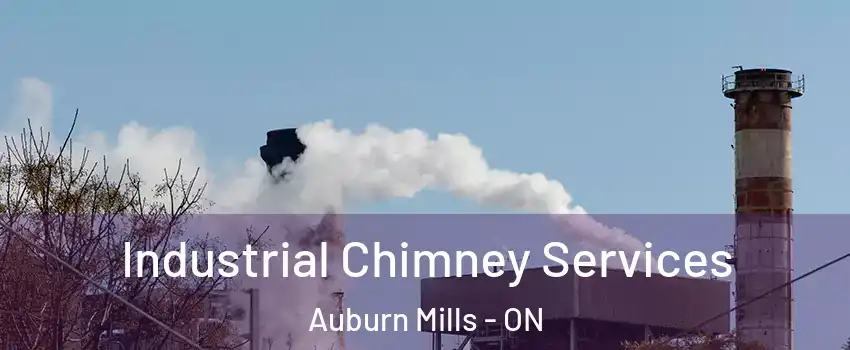  Industrial Chimney Services Auburn Mills - ON