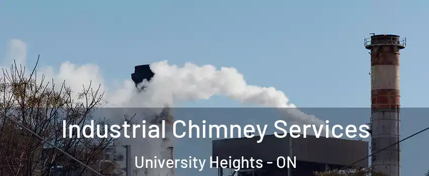 Industrial Chimney Services University Heights - ON