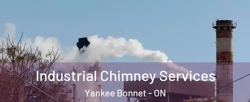 Industrial Chimney Services Yankee Bonnet - ON