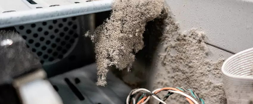 Clogged Dryer Vent Lint Cleaning in Peterborough, Ontario