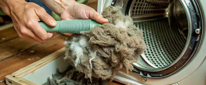 Best Dryer Lint Removal Company in Peterborough, Ontario