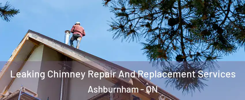  Leaking Chimney Repair And Replacement Services Ashburnham - ON