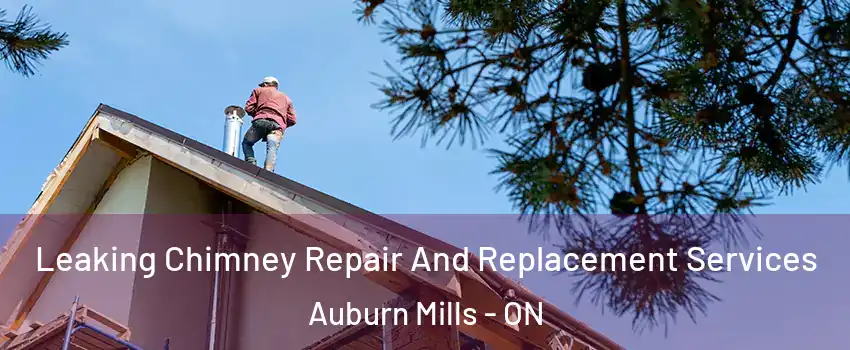  Leaking Chimney Repair And Replacement Services Auburn Mills - ON