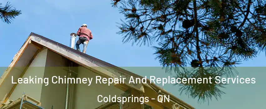 Leaking Chimney Repair And Replacement Services Coldsprings - ON