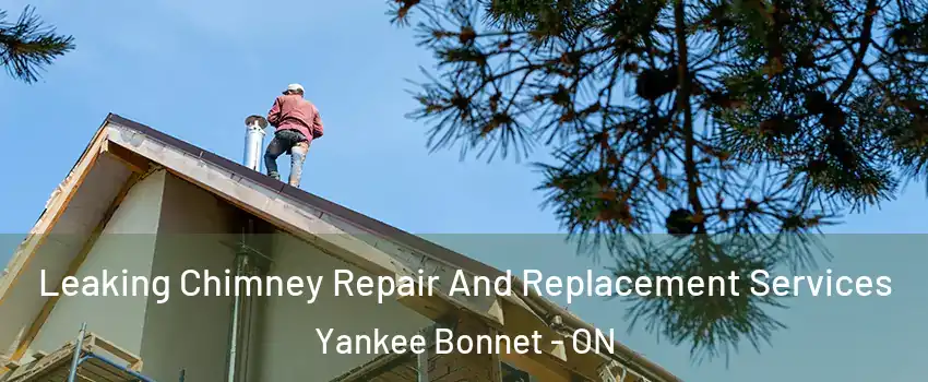  Leaking Chimney Repair And Replacement Services Yankee Bonnet - ON