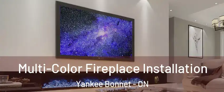  Multi-Color Fireplace Installation Yankee Bonnet - ON