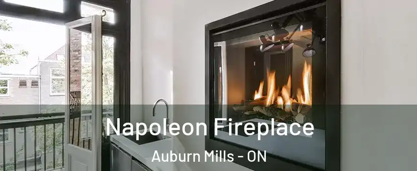 Napoleon Fireplace Auburn Mills - ON