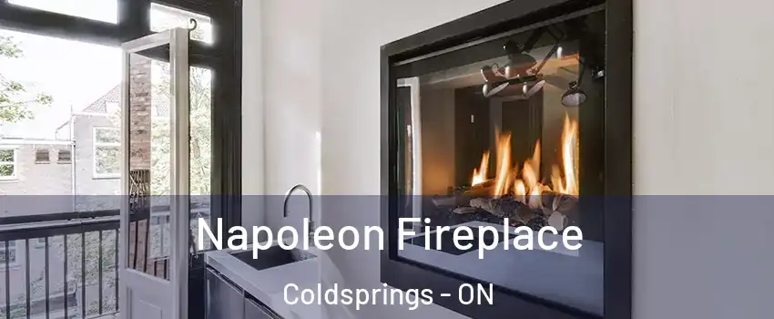  Napoleon Fireplace Coldsprings - ON
