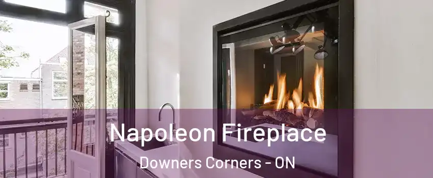 Napoleon Fireplace Downers Corners - ON