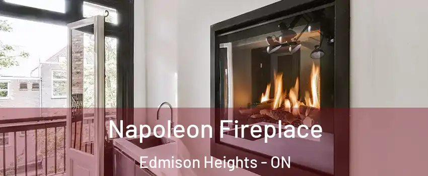  Napoleon Fireplace Edmison Heights - ON