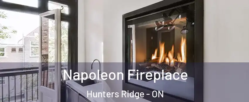 Napoleon Fireplace Hunters Ridge - ON