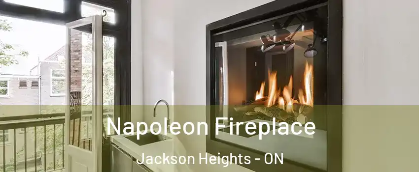  Napoleon Fireplace Jackson Heights - ON