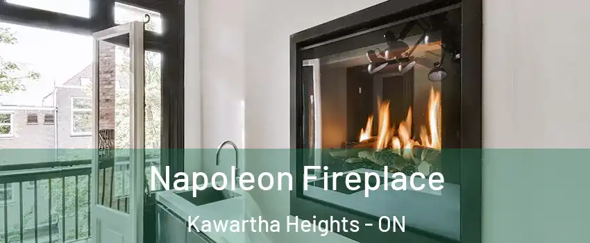  Napoleon Fireplace Kawartha Heights - ON