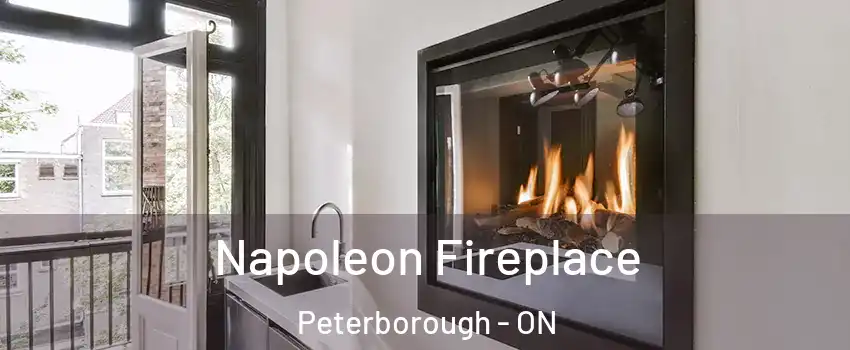  Napoleon Fireplace Peterborough - ON