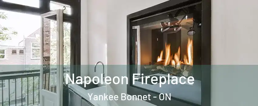  Napoleon Fireplace Yankee Bonnet - ON