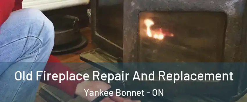  Old Fireplace Repair And Replacement Yankee Bonnet - ON