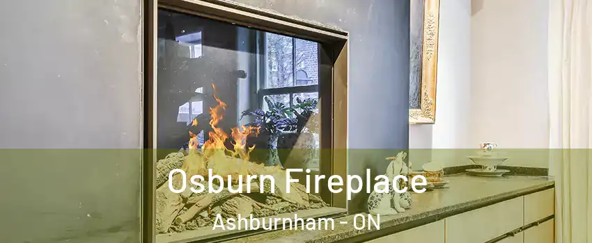 Osburn Fireplace Ashburnham - ON
