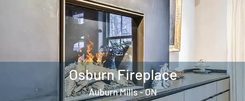 Osburn Fireplace Auburn Mills - ON