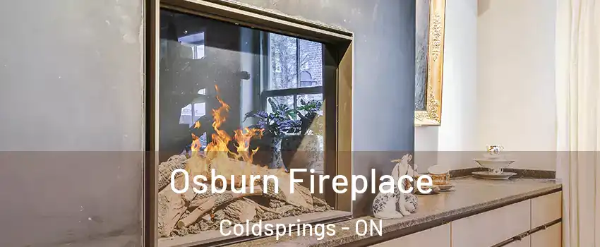  Osburn Fireplace Coldsprings - ON