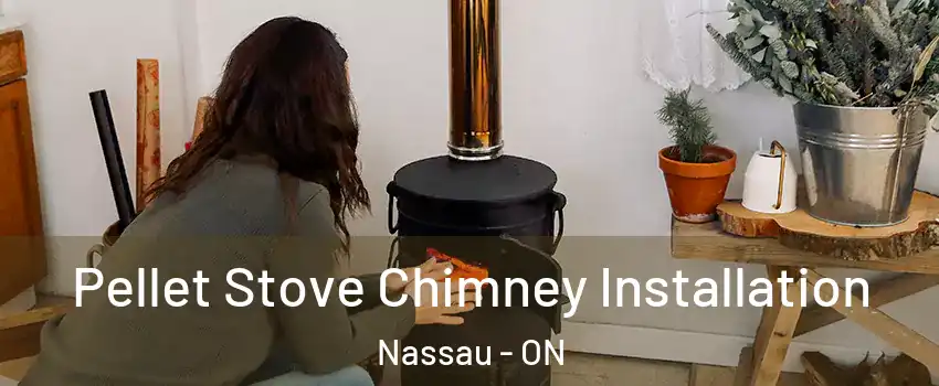 Pellet Stove Chimney Installation Nassau - ON