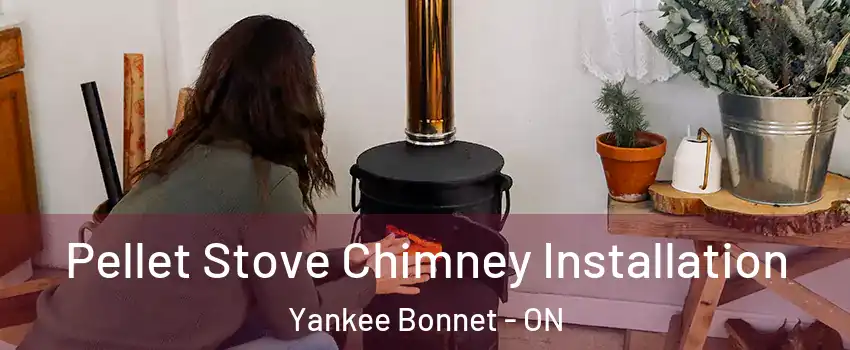  Pellet Stove Chimney Installation Yankee Bonnet - ON