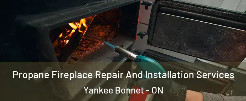Propane Fireplace Repair And Installation Services Yankee Bonnet - ON