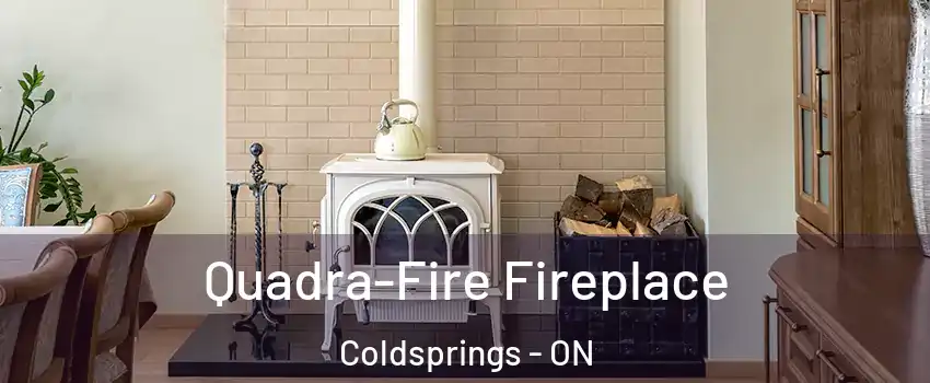  Quadra-Fire Fireplace Coldsprings - ON