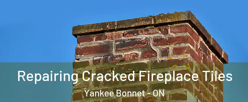  Repairing Cracked Fireplace Tiles Yankee Bonnet - ON