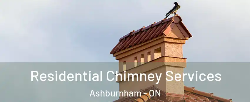  Residential Chimney Services Ashburnham - ON